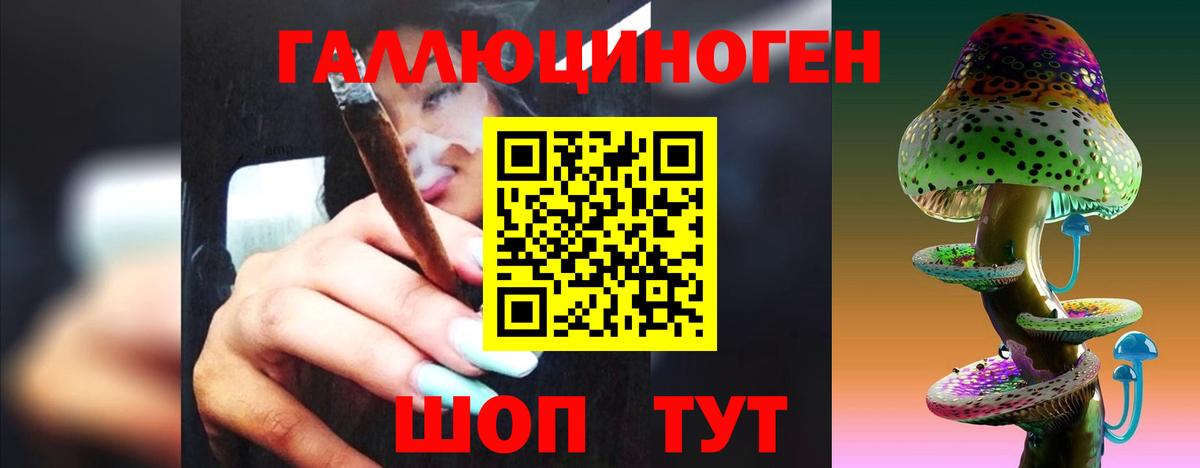Галлюциногенные грибы GOLDEN TEACHER Сыктывкар
