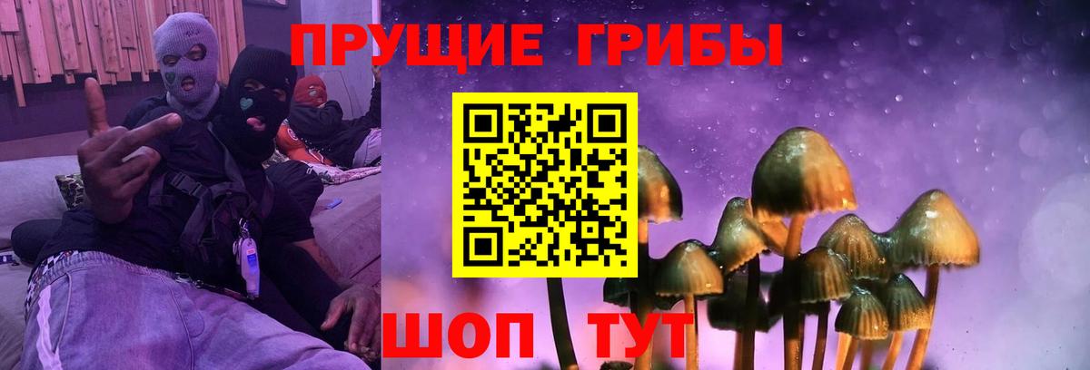 Галлюциногенные грибы прущие грибы  Вход с VPN  Сыктывкар 